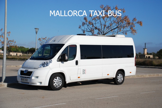 Bus from Palma de Mallorca PMI/LEPA airport.
