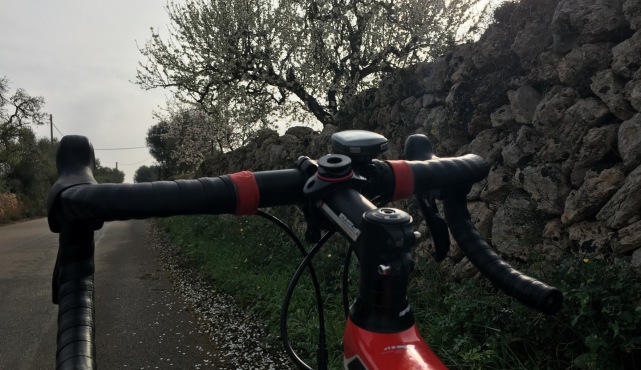 Mallorca BicycleTransportation